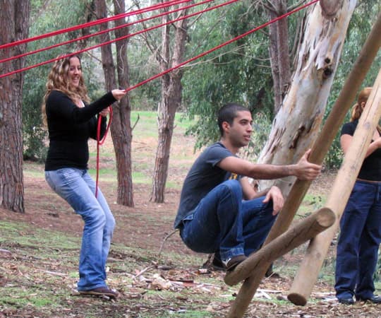 Problem-solving exercise